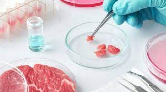 Yapay et dönemi: Laboratuvarda üretilen etlerin satışı onaylandı!