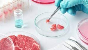 Yapay et dönemi: Laboratuvarda üretilen etlerin satışı onaylandı!