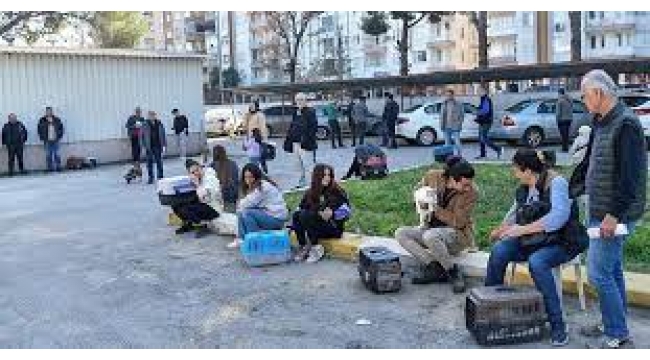 Dost patilere 'çip' terki