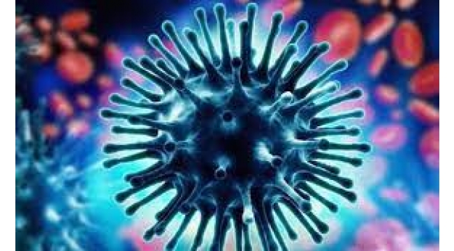 Uzmanından 'influenza A' uyarısı: Bu belirtilere dikkat!