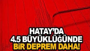 Hatay Samandağ'da 4.5 büyüklüğünde deprem