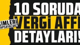 10 soruda vergi borcu yapılandırma paketi detayları