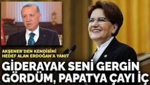 Akşener'den Erdoğan'a yanıt: Akşamları papatya çayı iç, iyi gelir