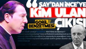 Fazıl Say'dan Muharrem İnce'ye: Kim ulan sözde sanatçı