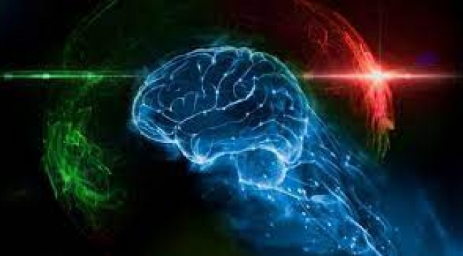 Organoidler: İnsan beyin hücreleri ile üretilen bilgisayarlar geliyor!
