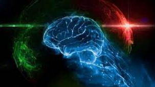 Organoidler: İnsan beyin hücreleri ile üretilen bilgisayarlar geliyor!