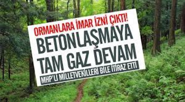 Ormanlara imar izni..