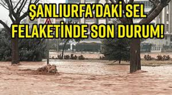 Şanlıurfa'daki sel felaketinde son durum