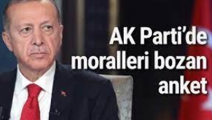 AKP'de moralleri bozan İstanbul ve Ankara anketleri
