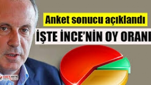 AKP'li yetkili 'gizli' anketi Reuters'la paylaştı