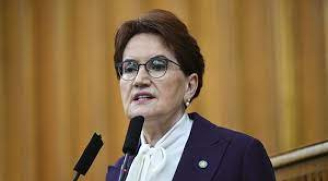 Akşener'e "Hayır" diyen iş adamı