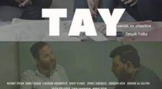 Bir Selçuk Yıldız yapıtı 'Tay'