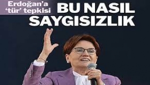 Akşener'den Erdoğan'ın 'Tür' Açıklamasına Sert Tepki