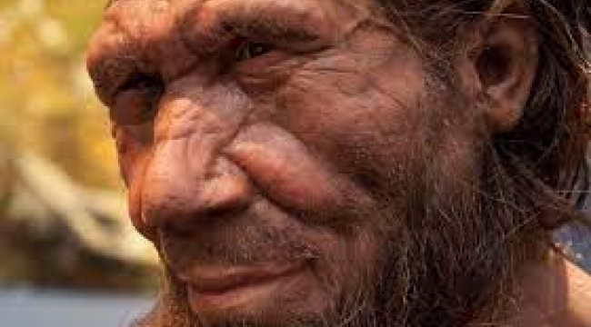 Büyük burunların sebebi belli oldu: Neandertal'ler