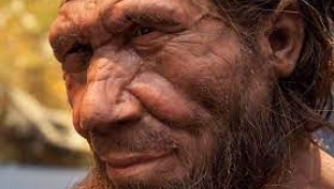 Büyük burunların sebebi belli oldu: Neandertal'ler