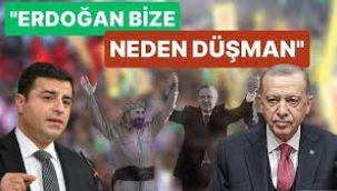 Demirtaş, açıkladı: Erdoğan bize neden düşman?