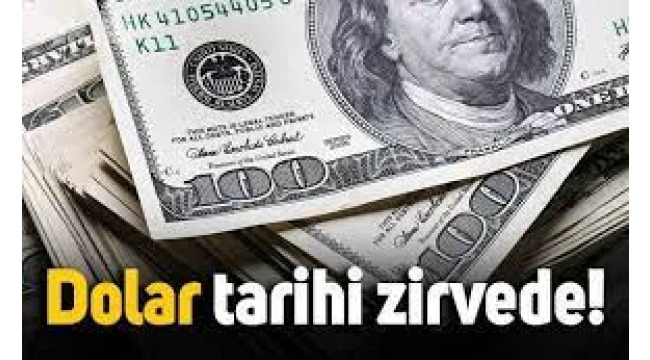 Dolar Tarihi Zirveyi Gördü