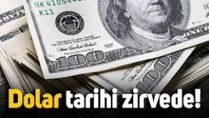 Dolar Tarihi Zirveyi Gördü