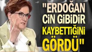 "Erdoğan cin gibidir, kaybettiğini gördü"