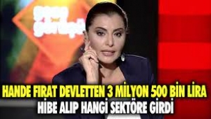 Gazetecilik, ticaret ve devletten hibe