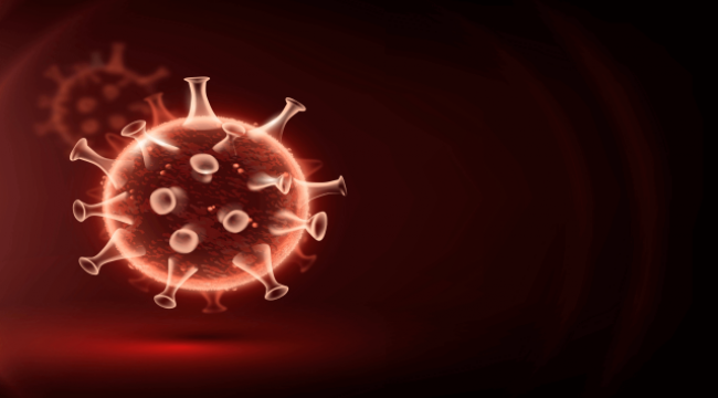 HPV Tedavisi İçin AHCC Kullanımı