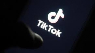 TikTok, eşcinsel içerik izleyenlerin listesini tutmuş