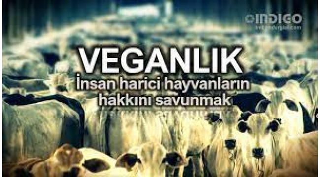 Veganlık: İnsan harici hayvanların hakkını savunmak