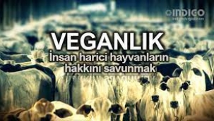 Veganlık: İnsan harici hayvanların hakkını savunmak