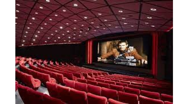 2022 yılı sinema ve gösteri sanatları istatistikleri