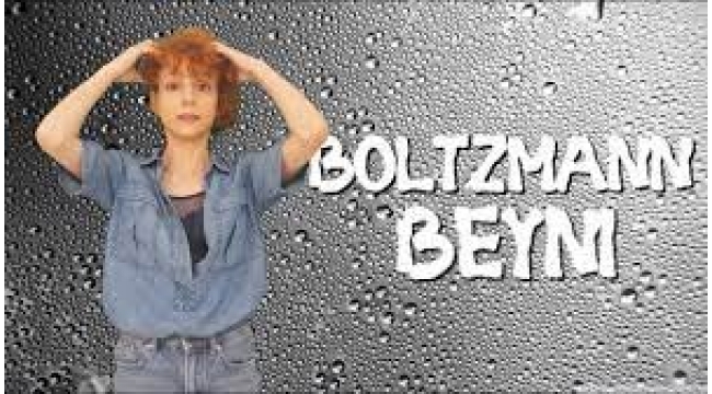 Boltzmann beyni