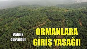Ormanlara girişler 15 Ekim'e kadar yasak