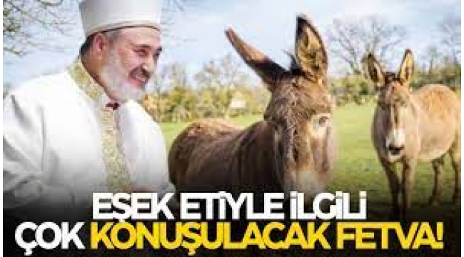 Ankara Müftüsü neden Eşek eti helaldir fetvası verdi?