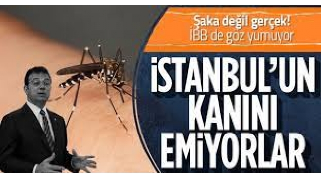 'Asya Kaplanı' Tehlikesi: Hastane Başvuruları Arttı!