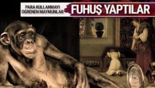 KAPUÇİN MAYMUNU BİLE BOZULDUKTAN SONRA BU DÜNYA SANA NELER YAPMAZ…