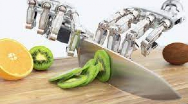 Beslenme listesi hazırlayan yapay zekadan ölümcül tarif!