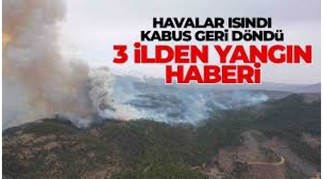 Çanakkale, Bursa ve Bilecik'te orman yangını