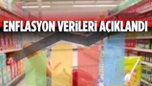 TÜİK temmuz ayı enflasyon verisini açıkladı