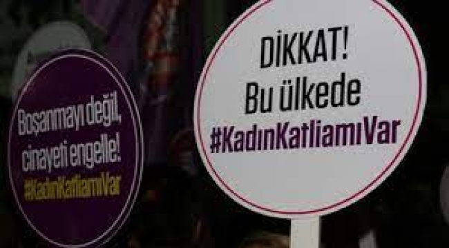 Türkiye'de 2023'ün ilk 7 ayında 310 kadın şüpheli şekilde yaşamını yitirdi