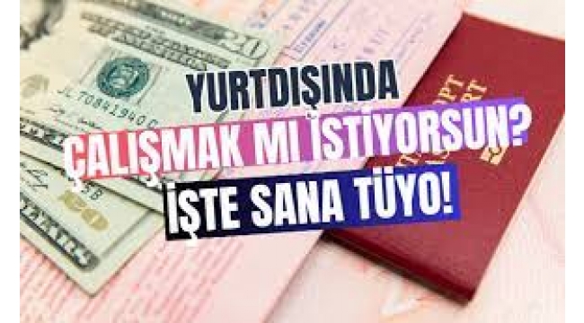 Yurt dışında çalışmak isteyenlere tüyolar