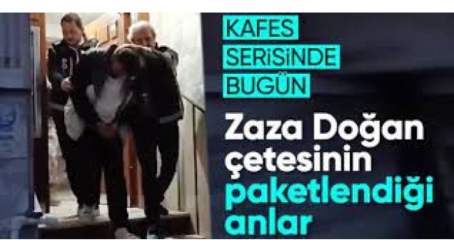 'Zaza Doğan' organize suç örgütü çökertildi