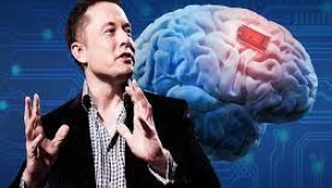 Elon Musk'i beyin çipi takmaya hazır