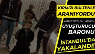 Kırmızı bültenle aranan uyuşturucu karteli Nenad Petrak, İstanbul'da yakalandı