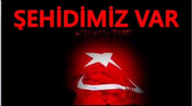 MSB'den acı haber: Şehit sayısı 3'e yükseldi