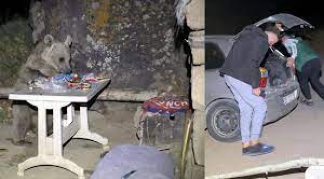 Piknik yapmaya geldiler, sofralarını ayılara bırakıp kaçtılar