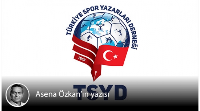 TSYD nasıl meslek örgütü?