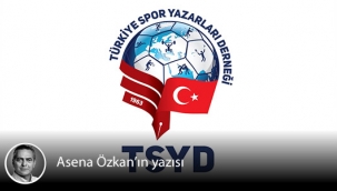 TSYD nasıl meslek örgütü?