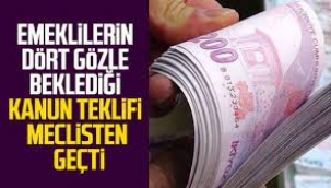 Çalışan emeklilere 5 bin TL verilmesi  teklifı, Meclis'ten geçti