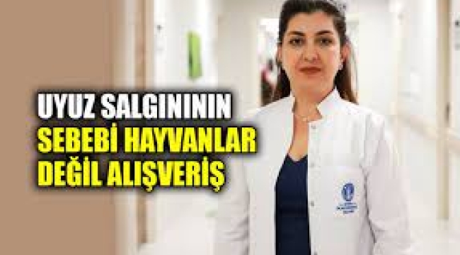 Uyuz salgını: Sebebi hayvanlar değil, alışveriş!