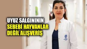 Uyuz salgını: Sebebi hayvanlar değil, alışveriş!