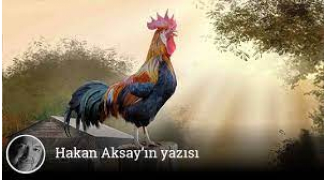 Vakitsiz öten Türk gazeteciler ve Fransız horozlar